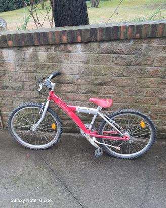 bicicletta 