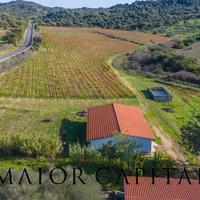 Oliena | Azienda vitivinicola con 10 ettari di ter