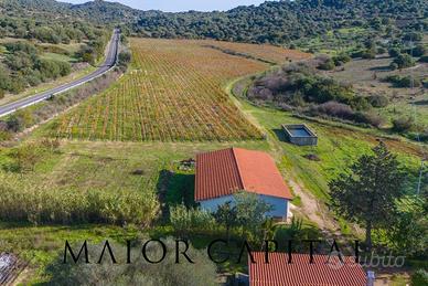 Oliena | Azienda vitivinicola con 10 ettari di ter