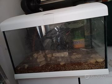 Acquario completo con luce LED – come nuovo