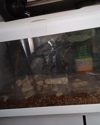 Acquario completo con luce LED – come nuovo