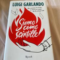 “Siamo come scintille” Luigi Garlando
