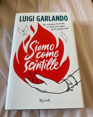 “Siamo come scintille” Luigi Garlando