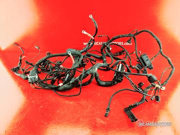 IMPIANTO SENSORI BMW R1200ST