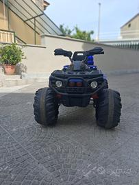 Quad elettrico
