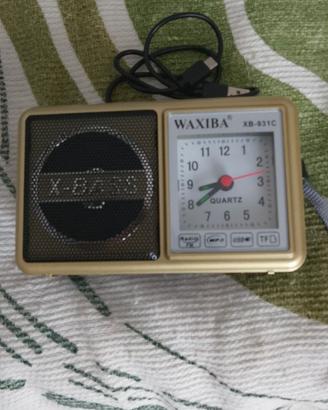 Radiolina portatile FM MP3