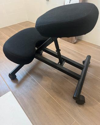 Sedia ergonomica o svedese