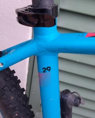 mtb 29