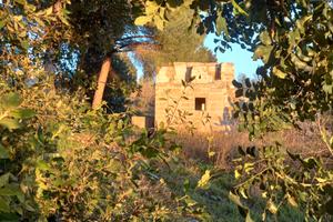 Terreno e antica costruzione