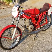Benelli Leoncino Bassotto