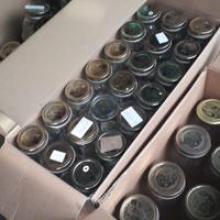 Vasetti per conserva Bormioli