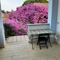 Bilocale Populonia Stazione - Piombino (LI)