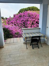 Bilocale Populonia Stazione - Piombino (LI)