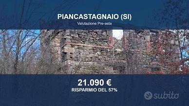 Immobile in asta di 195140 m² a Piancastagnaio