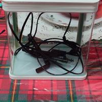 acquario mini 10 litri 