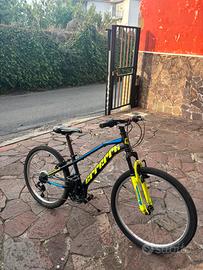 bici erreerre