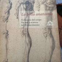 La bella anatomia