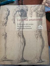 La bella anatomia