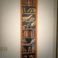 Quadro libreria antica