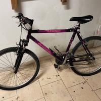 Mtb mountain bike ATALA revisionata