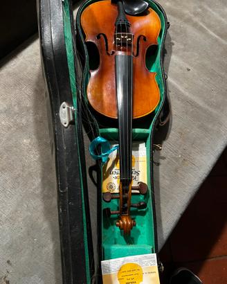 Violino