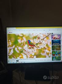 monitor MSI optix 27 "
