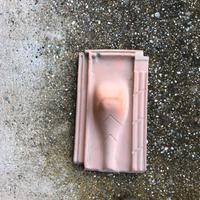 Tegola marsigliese fermaneve nuove