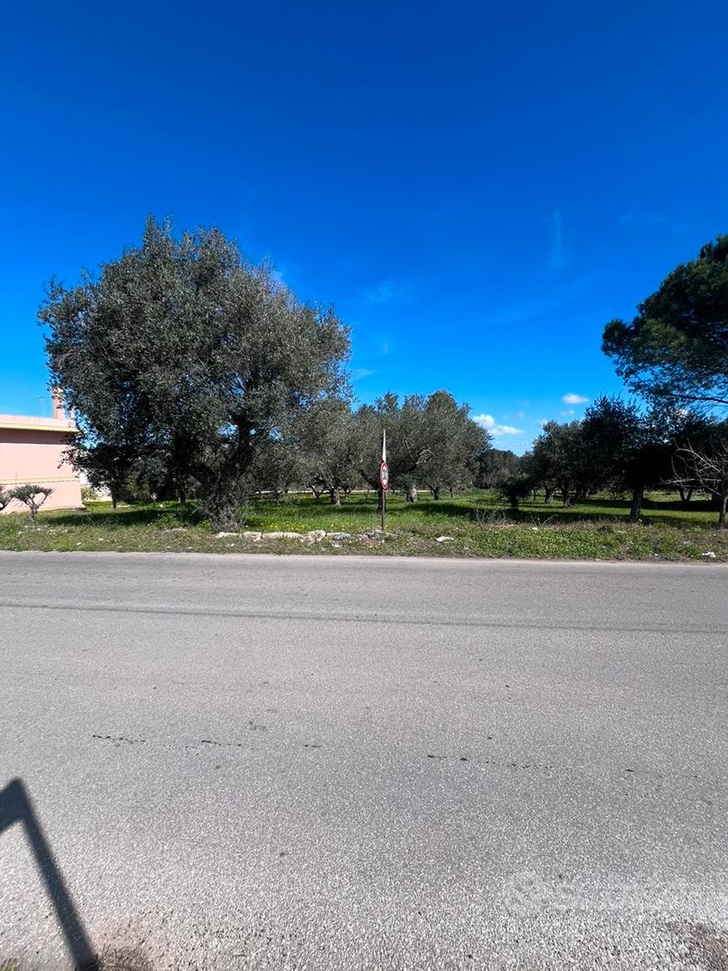 Terreno edificabile - Vista 3