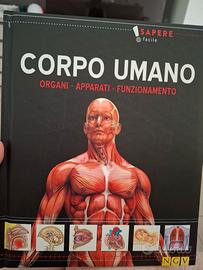 Il corpo umano