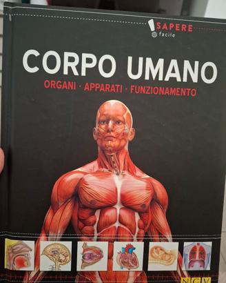 Il corpo umano