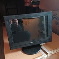 monitor olidata