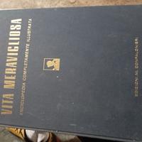 enciclopedia la vita meravigliosa 