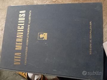 enciclopedia la vita meravigliosa 