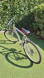 Bici Mountain bike