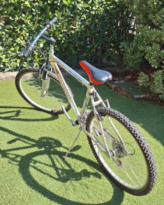 Bici Mountain bike