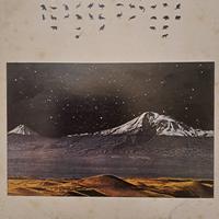 BATTIATO  L'ARCA DI NOE' Vinile 33giri 1982 emi