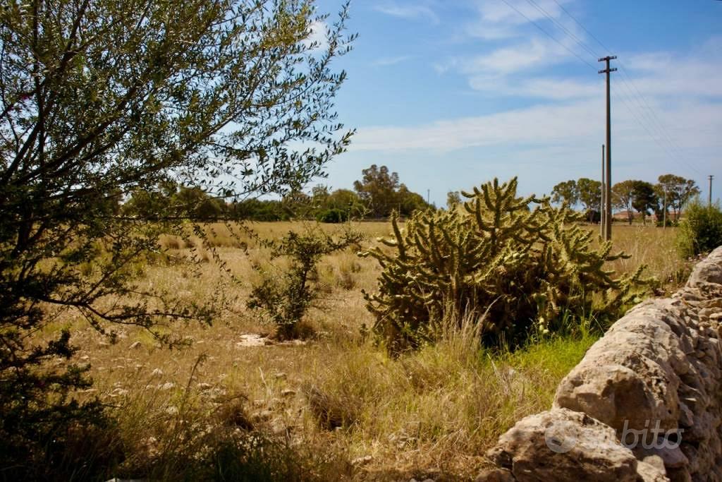 Terreno di 17085 m² a Santa Croce Camerina - Altro