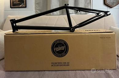 Telaio Colony Sweet Tooth 21”