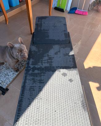 Sdraio rattan