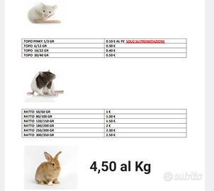 Conigli-ratti e topi