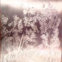 Quadro Umberto Lilloni