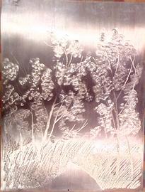 Quadro Umberto Lilloni