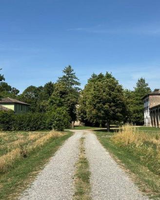 Rustico / Casale di 280 m² con più di 5 locali a T