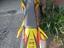 Immagine 19