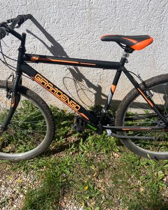 Bicicletta bambino/ragazzo