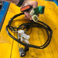 Cablaggio centralina Rapid Bike KTM Duke 390