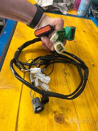 Cablaggio centralina Rapid Bike KTM Duke 390