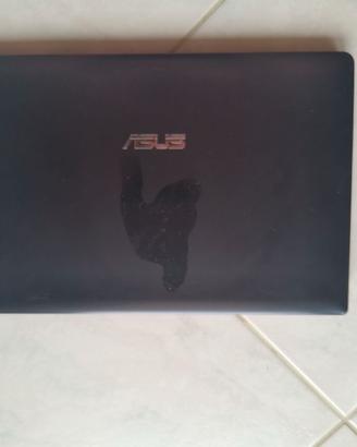 Asus X501A-XX220H notebook