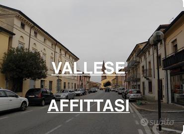 Vallese di oppeano-Trilocale