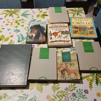  libri sui cavalli 